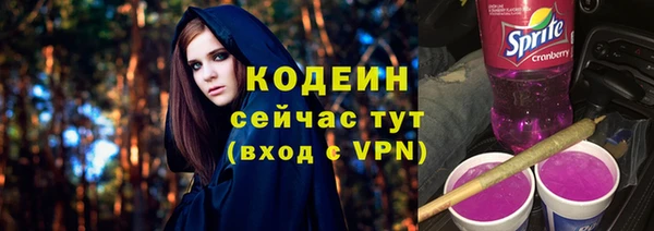 прущие грибы Кодинск