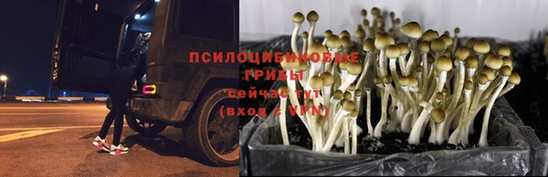 первитин Козловка