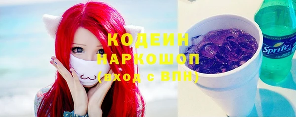 прущие грибы Кодинск