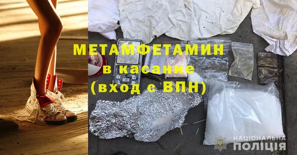 прущие грибы Кодинск