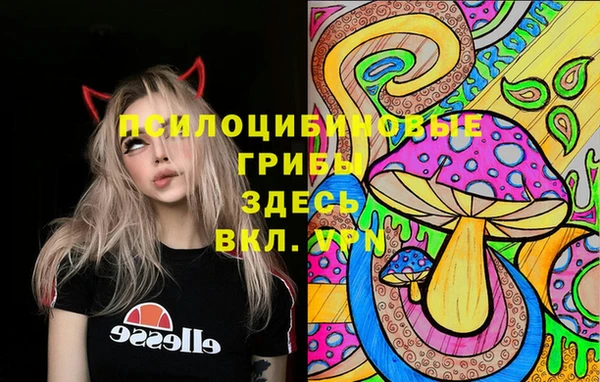 прущие грибы Кодинск