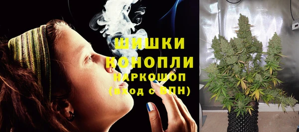 прущие грибы Кодинск