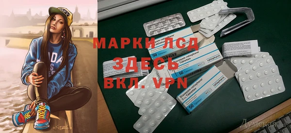 прущие грибы Кодинск