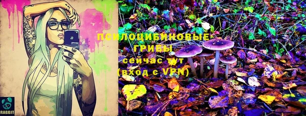 первитин Козловка