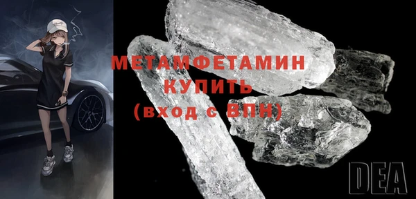 прущие грибы Кодинск
