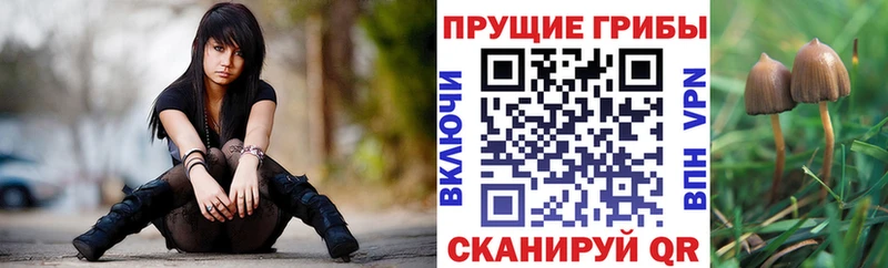 Псилоцибиновые грибы ЛСД  Купить где  Георгиевск 